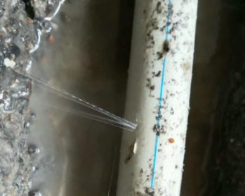 青海卫生间测漏水多少钱